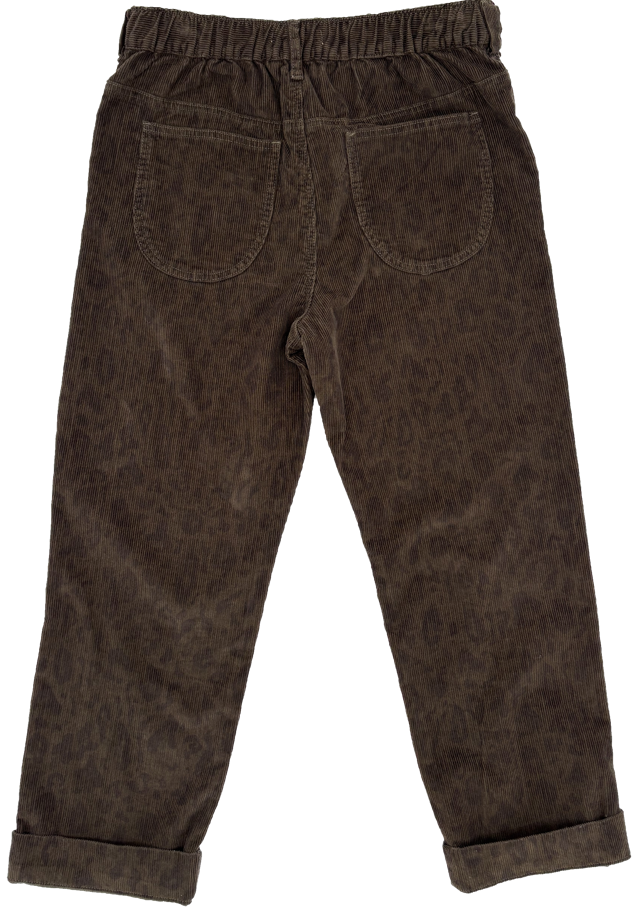 Spotty Cord Explorer Pants back view